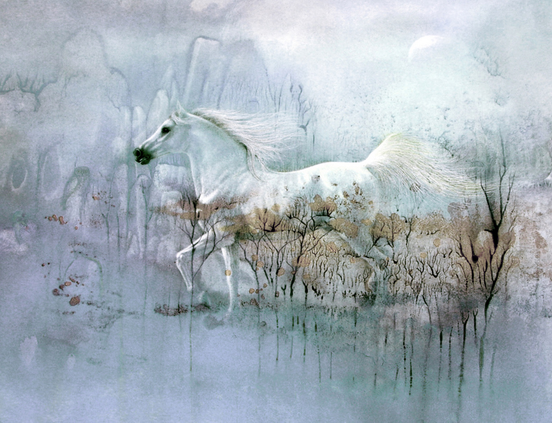 Der weiße Geist 1994