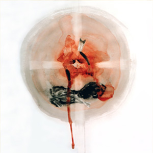 Malerei First Nations