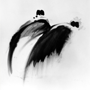 Zeichnungen & Grafiken