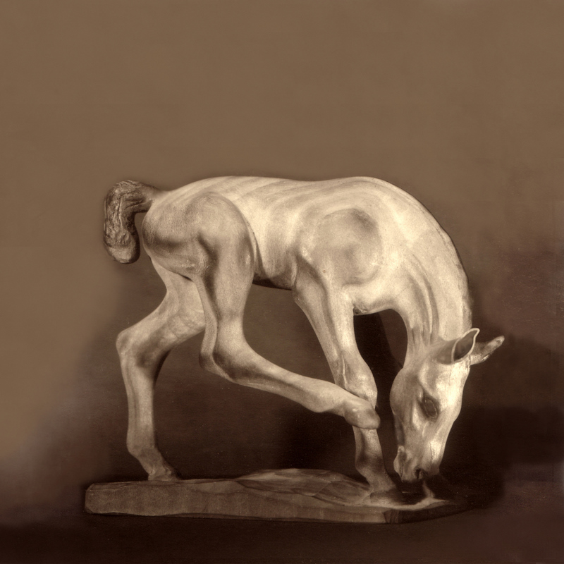 Fohlen Lindenholz 1960